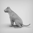 00.6.jpg American Pitbull Pose 02