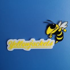 WhatsApp-Image-2023-06-17-at-14.38.12.jpeg Yellowjackets mascot logo hornet