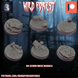 Diapositiva14.png STL file Wild Forest Set 25mm/~1" Set (6 pre-supported base model)・3D printable model to download