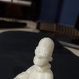 Homer buddha