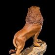 The-Asiatic-Lion-Resin-3.jpg The Asiatic Lion