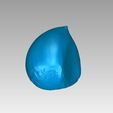 b.jpg chestnut 栗　HIGH QUALITY 3D 　SCAN　fruit　SCANNER:ATOS