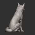 Fox-sitting14.jpg Fox 3D print model