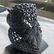 IMG_3944.jpeg Voronoi money box owl