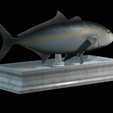 Greater-Amberjack-statue-14.png fish greater amberjack / Seriola dumerili statue detailed texture for 3d printing