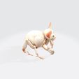 4.jpg Hybrid Sphynx Cat Creature with Insect Legs