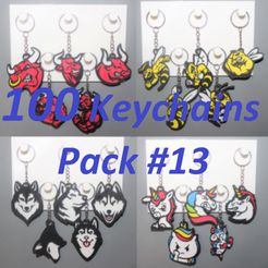 Pack-100-keychains-13.jpg Télécharger fichier 3D 100 Keychains Angry Animals #13 • Design imprimable en 3D, DG22