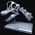 Schermafbeelding_20221207_084527.png Brachiosaurus Skull