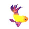 7.jpg GOLDFISH Guppy Blue Grass FISH TOAD AMPHIBIAN TADPOLE ANIMAL ANATOMY 3D MODEL WATER OCEAN RIVER BOAT SALMON SHARK