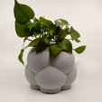 With-Plant-White.png Bubble Cloud Bottom Watering Planter