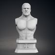 09.jpg Triple H Bust - Classic and Current Versions