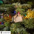 IMG_5648.jpeg レインフロッグのクリスマスオーナメント