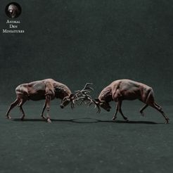 red_deers_fight_1.jpg STL file Red Deer Stags Fight・Model to download and 3D print, AnimalDenMiniatures