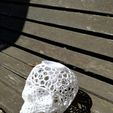 IMG-20190723-WA0009.jpg Voronoi Skull bank with lid