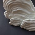 05.jpg STL-Datei Wandregal "Ostrea Fungus"・3D-Drucker-Vorlage zum herunterladen