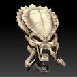 15.jpg ALIEN VS PREDATOR SKULL PACK