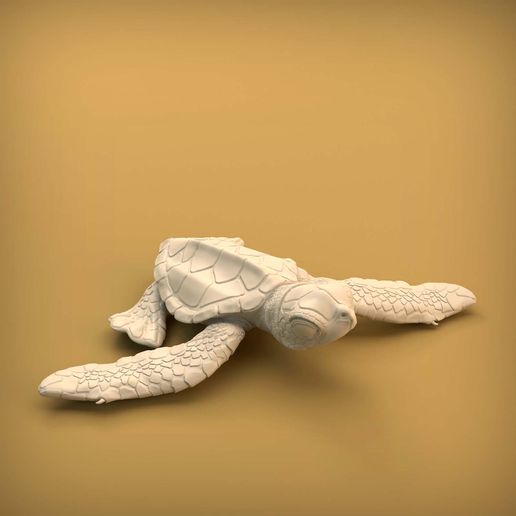 Turtle_9.jpg 3D-Datei Meeresschildkröten-Schlüpfling・3D-Druckvorlage zum Herunterladen, AnimalDenMiniatures