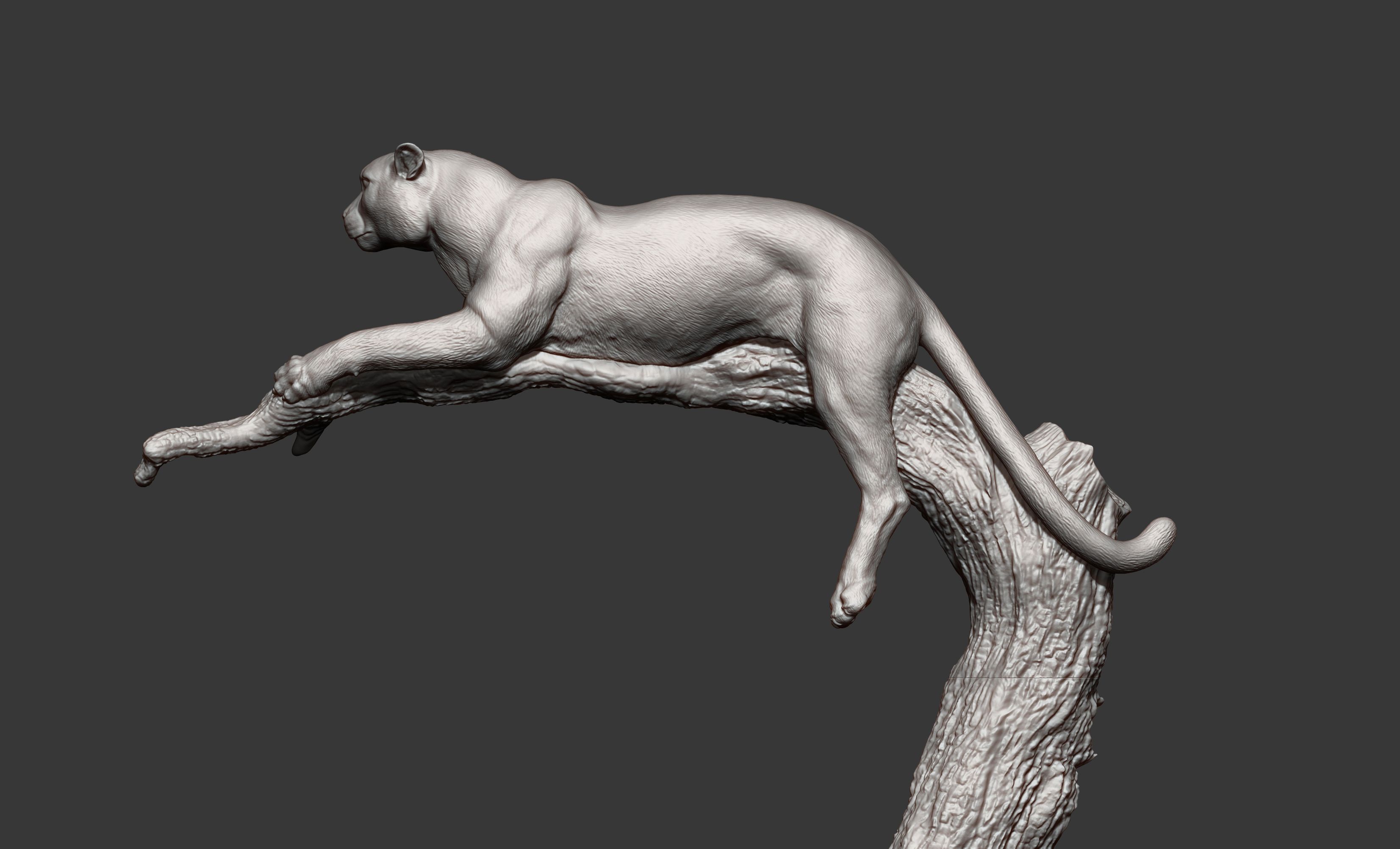 cheetah10.jpg Archivo 3D modelo de impresión 3D de un guepardo・Modelo de impresión 3D para descargar, akuzmenko