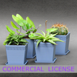 cm2.png COMMERCIAL USE-SUCCULENT VASE COLLECTION SOO3