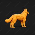 1733-Belgian_Shepherd_Dog_Tervueren_Pose_01.jpg Belgian Shepherd Dog Tervueren Dog 3D Print Model Pose 01
