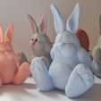 20230321_104650.jpg STL-Datei Osterhase・3D-druckbare Vorlage zum herunterladen