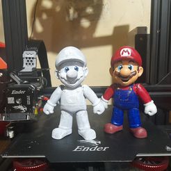 MARIO BROS FLEXI PRINT IN PLACE