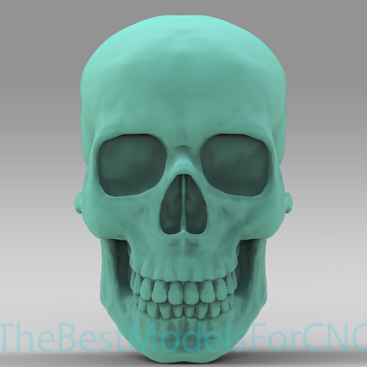 3D Model STL File for CNC Router Laser & 3D Printer Human Skull