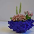 DSC_0326.JPG Mini Flowerpot