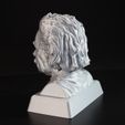Einstein4.jpg Einstein Bust 3D print with base-supported