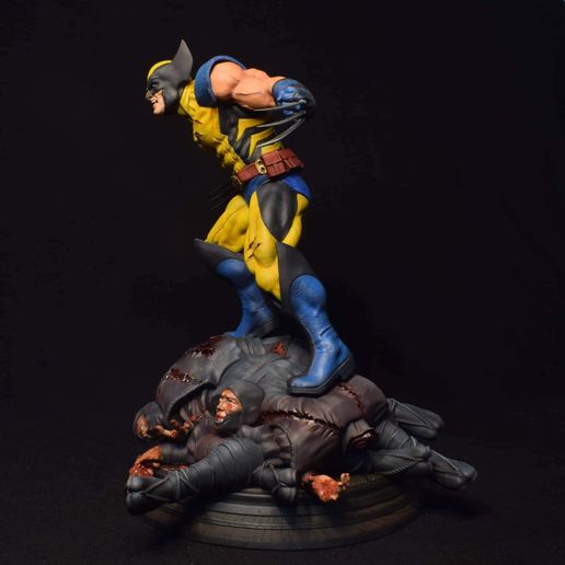 received_1748234062179370.jpeg WOLVERINE