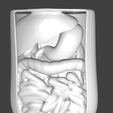b43055eece1fc8d2b7b2e10ad4672d2d_display_large.jpg Fichier STL gratuit Corporeal - Un projet de dissection humaine・Design pour imprimante 3D à télécharger