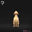 Dachshund-Smooth-Haired-Pose-02-Dog-3D-Print-5s.jpeg Teckel à poil lisse Pose 02