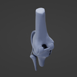 K6.png Knee Replacement