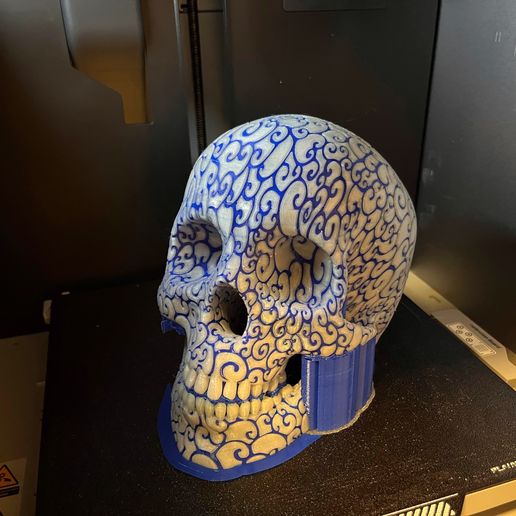 IMG_3978.jpeg Cloud Skull
