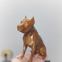 IMG_20200617_065422079-01.jpeg Fichier STL gratuit Statue géométrique de Pit Bull・Design pour imprimante 3D à télécharger