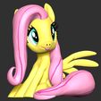 1_3.jpg Fluttershy - My Little Pony