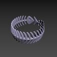 zz-2095848.jpg Fish Ring