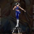 z-23.jpg Chun Li - Street Fighter - Collectible