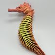 image0.jpeg FLEXI SKELTON SEAHORSE