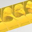 ocells dieta forma.jpg Birds and their feeding. Didactic 3D of birds. Spanish language.