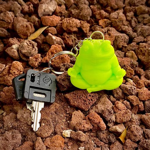 126.jpeg 🔑⛓️🐸🧘🏼‍♀️ ¡NAMASTE del ESTANQUE!