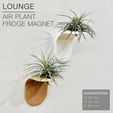 LOUNGE_air-plant-planter_white-wall.jpg LOUNGE  |  Air Plant Holder Fridge Magnet