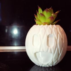 ananas.jpg Free STL file Pineapple pot for succulents・3D printable model to download, _n3o_