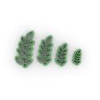 WhatsApp-Image-2022-02-04-at-19.42.21.jpeg SET HOJAS - LEAVES - COOKIE CUTTER