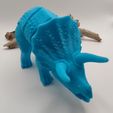 IMG_20230202_202342.jpg Triceratops + Sinoceratops Flexi