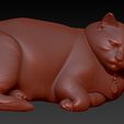 2026-03-24-13-50-47.jpg Gato obeso ou rechonchudo