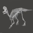 lambeoskelet2.jpg Dinosaur Lambeosaurus complete skeleton