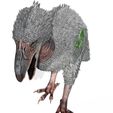 099.jpg BIRD OF PREY TERROR HORROR DEMON DEVIL RAPTOR DINOSAUR WINGS FLYING PREHISTORIC CHARIZARD TERROR BIRD ANIMATED - BLENDER - 3DS MAX - CINEMA 4D - FBX - MAYA - UNITY - UNRE / EVIL / MONSTER Dinosaur