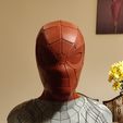 IMG_20201128_183836.jpg Spiderman Iron Spider PreCut