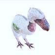 VGG.jpg DOWNLOAD DINOSAUR DINOSAUR Terror DOWNLOAD Bird 3D MODEL Terror Bird Terror Bird ANIMATED - BLENDER - 3DS MAX - CINEMA 4D - FBX - MAYA - UNITY - UNREAL - OBJ - Terror Bird RAPTOR DINOSAUR RAPTOR DINOSAUR DINOSAUR 3D Terror Bird